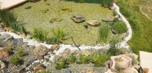 Zahradní jezírka: Koupací jezero Sulice